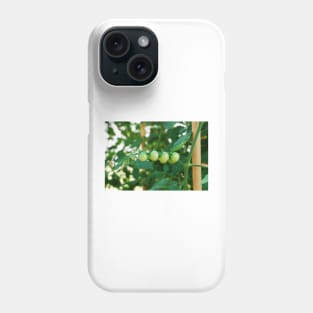 Green Tomatoes on the Vine Phone Case