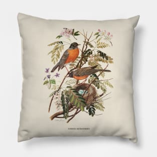 American Robin Antique Naturalist Illustration Pillow