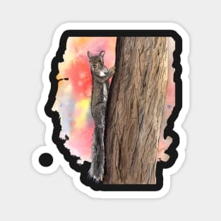 Squirrel at a tree Magnet