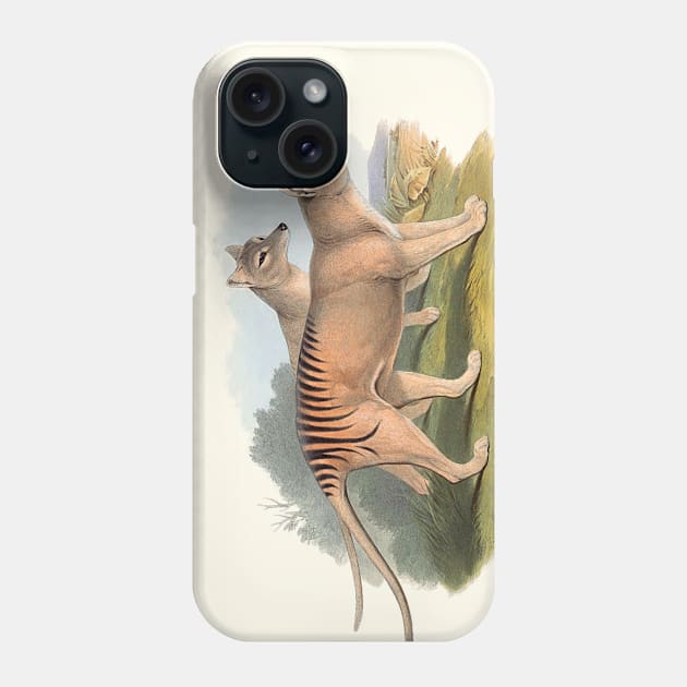 Animals Of Australia The Tasmanian Tiger Or Thylacine Phone Case by JoolyA