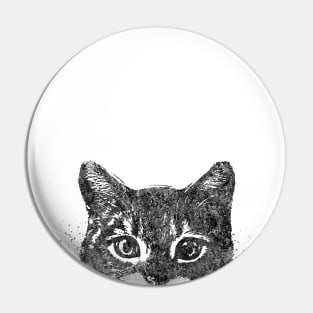 Peeking cat Pin