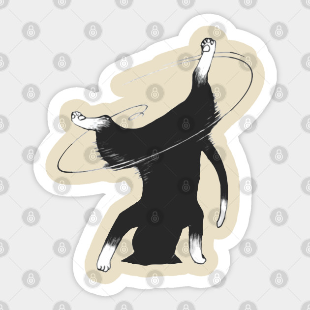 Fabulous Black Cat Break Dancing My Awesome Black Cat Cat
