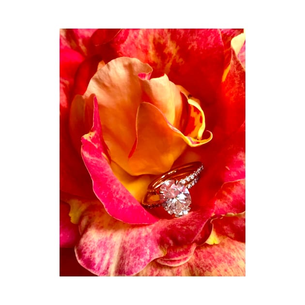 Rings and Roses by ephotocard