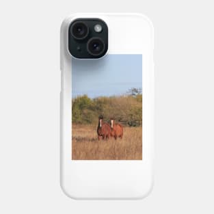Kansas Red and White Horses in a pasture with tree's and blue sky. Phone Case