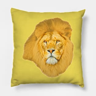 Magnificent Lion Pillow