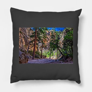 Lick Wash Trail Hike Pillow