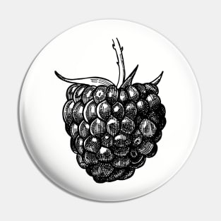 Raspberry Pin