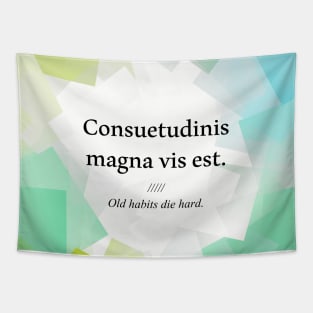 Latin quote: Consuetudinis magna vis est, old habits die hard Tapestry