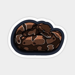 Ball Python Snake Coiled Magnet