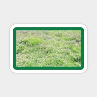 Spring grass, meadow, green nature photo Magnet