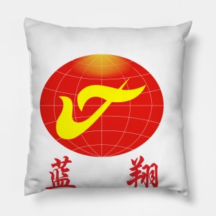 (Infosec) Shandong Lanxiang Vocational School Pillow