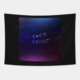 Best night sky ever - Anti-Trump Universe - Fuck Trump Tapestry