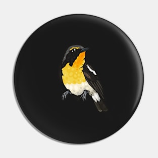 Narcissus Flycatcher Pin