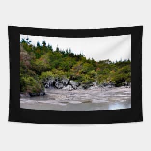 Nouvelle Zélande - Rotorua, Te Puia Tapestry