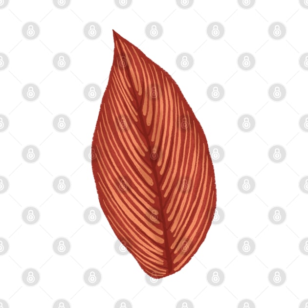 Calathea Cittata Leaf by Khotekmei