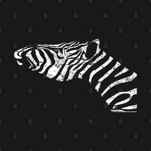 Zebra Stripes by Aldebaran