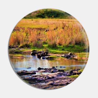 Water Buffalo in Crocodile River Pin