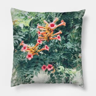 Tecoma blossom Pillow