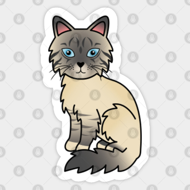 Silver Tabby Birman Ragdoll Cute Cartoon Cat Illustration