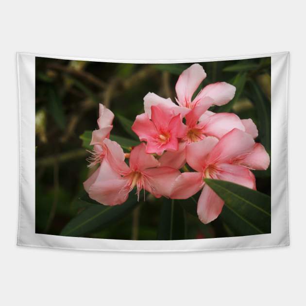 Flowers of the Dominican Republic Pink Tapestry by BenjiRetroWave