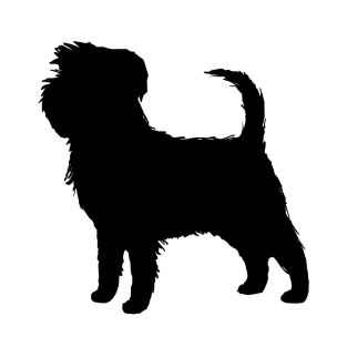 Affenpinscher Silhouette(s) T-Shirt