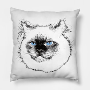 Ragdoll Design - Floppy Cat Christmas Gift Pillow