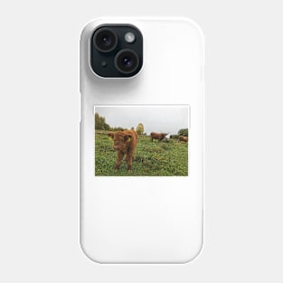 Scottish Highland Cattle Cow and Calf 1567 Phone Case