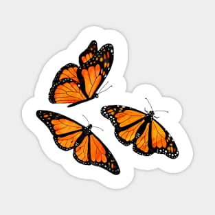 Monarch Butterflies Magnet