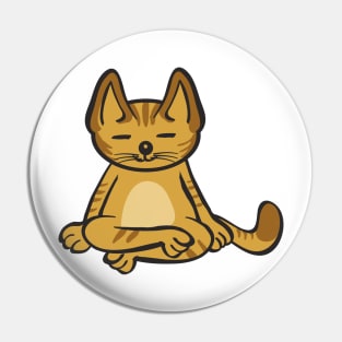 Cat In Different Yoga Poses Pin