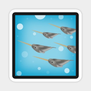 Narwhals Magnet