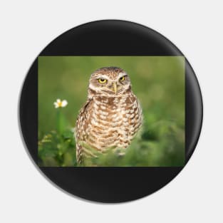 Burrowing Owl Pin