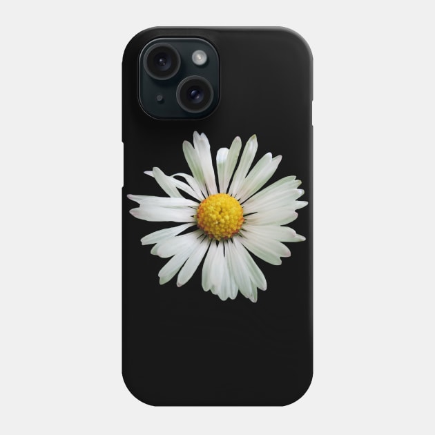 white daisy flower, blooming daisy, blooms, flowers, daisies Phone Case by rh_naturestyles