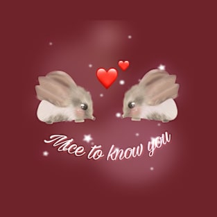 mice to know you valentines day design T-Shirt