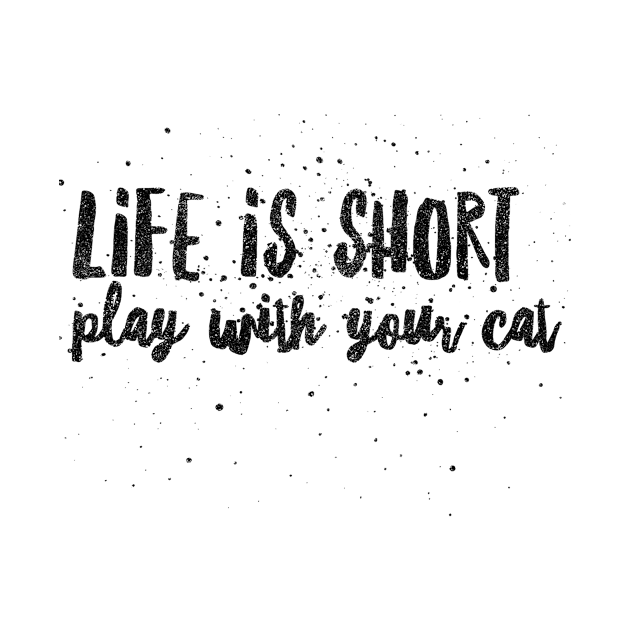 Life is short play with your cat by mike11209