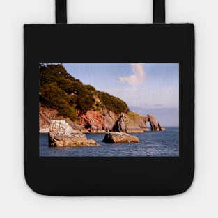 Arched Cliff Tote