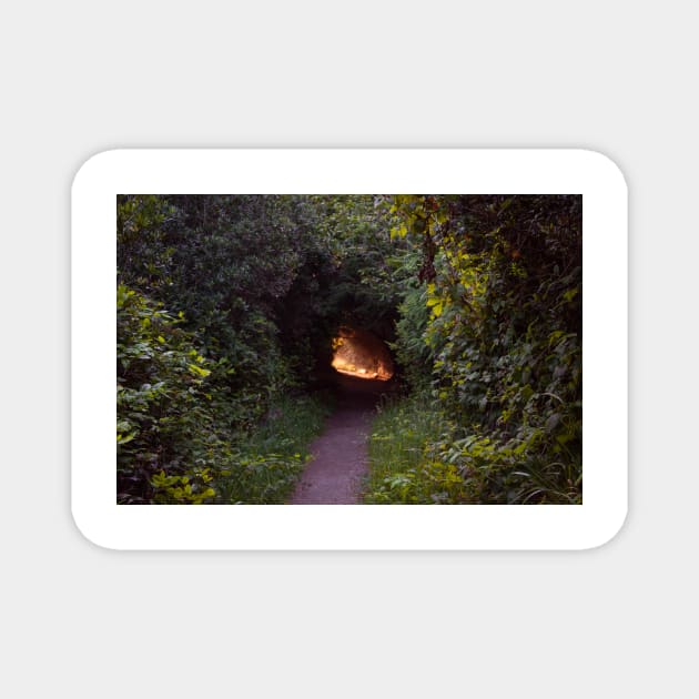 Light at the end of a tunnel Magnet by blossomcophoto
