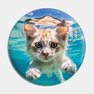 Cat Pet Animal Fun Playing Water Outdoor Pin