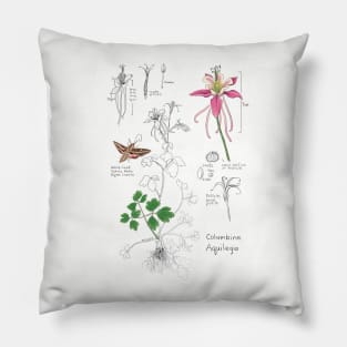 Columbine Botanical-tan Pillow