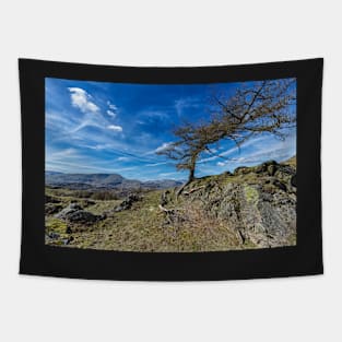 Arnside to Birk Fell Tapestry