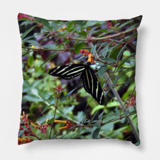 Striped Butterfly Pillow