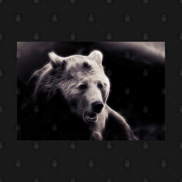 bear, portrait black and white by hottehue