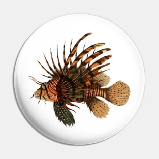 Lionfish Vintage Fish Natural History Antique Scientific Drawing Pin