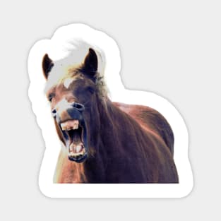 Icelandic Horse Laughing Out Loud Magnet