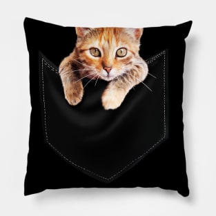 Funny Cute Ginger Cat Inside Pocket, Cat Lover Pillow