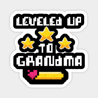 leveled up to grandma / Baby Announcement, grandma To Be, Grandparents to be Magnet