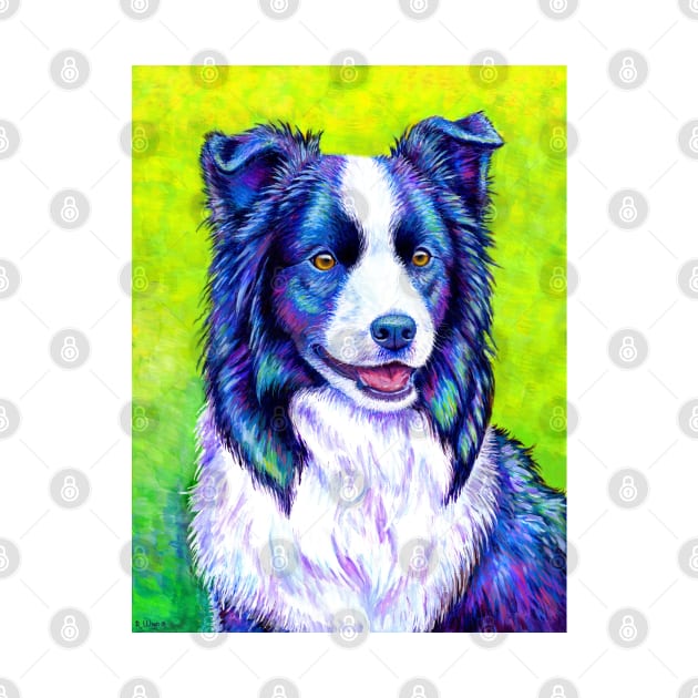 Watchful Eye Colorful Border Collie Dog by rebeccawangart