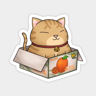 Orange Chubby Cat in Mikan Box Magnet