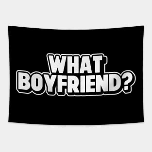 What Boyfriend? Sarcastic And Funny Singles Relationship Status Tapestry