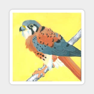 North American Kestrel Magnet