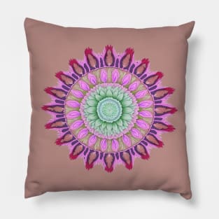 Abstract Circle Pattern With Floral Elements 10 Pillow